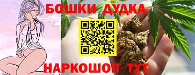 крисы Славгород