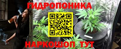 гашишное масло Сланцы