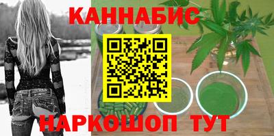 крисы Славгород