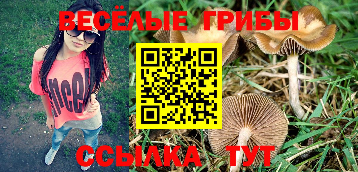 Галлюциногенные грибы Cubensis Петрозаводск